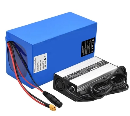 Bộ pin Lithium Ion 24v có thể sạc lại 48v 36v dành cho xe tay ga chạy bằng điện